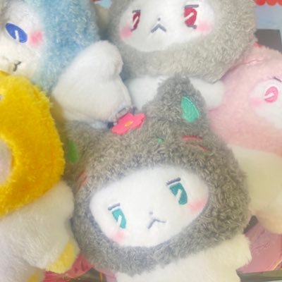 ℳo🅼o🤍PLLI stayさんのプロフィール画像