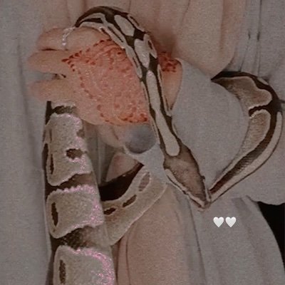 _naerf's profile picture. 