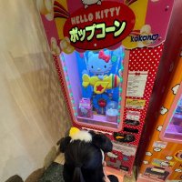 陽 (@sdat_h) 's Twitter Profile