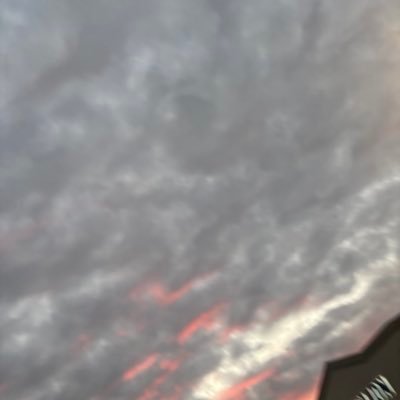 Mooee329711's profile picture. 
