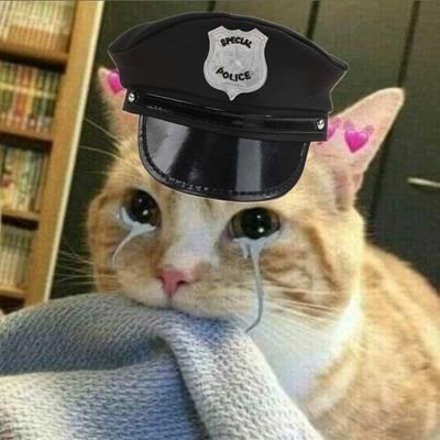 ♡ขอให้หยิ่นวอร์มีความสุขกับทุกสิ่งบนโลกแม้จะเล็กน้อยหรือยิ่งใหญ่ก็ตาม ขอให้ไม่ขาดหายสิ่งใด♡