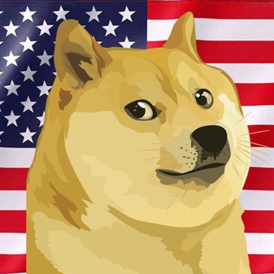 🇺🇸 Official X account of Doge Party Much democracy. Very freedom. Vote Doge. Save America. Powered by memes & dreams. https://t.co/mXJ24BKFtb