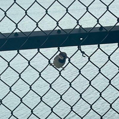 saaltedbutter's profile picture. 18 | music nerd and total loser | nyc | sw: 170 cw : 142 gw : 138 ugw : 125 | bmi : 23.4