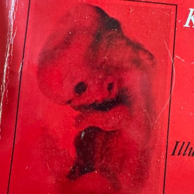 superkillstreak's profile picture. Affirmations. Thoughts