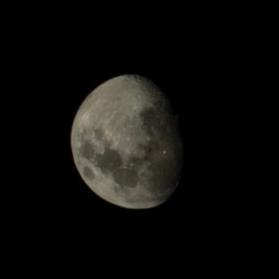 pauzudo_vers's profile picture. Pauzudo Putão, a fim de sacanagem.