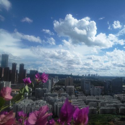 yoogemay's profile picture.