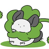 초케 (@chockchoke) 's Twitter Profile