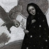 دليلة حويرس (@dalilahhweiris) 's Twitter Profile