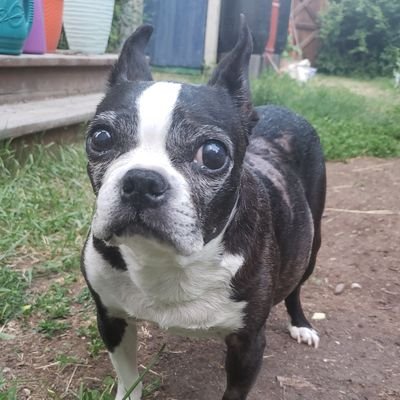 LisaKitz's profile picture. 