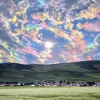 せいこ (@ali_shah2010) 's Twitter Profile