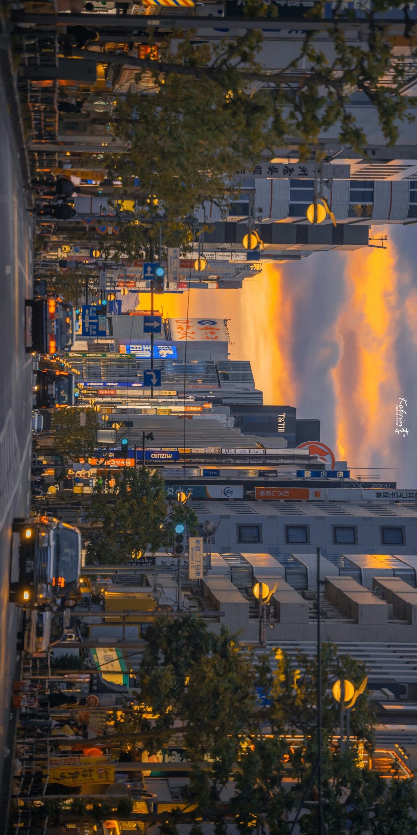 amordepicadura's profile picture. にゃんこ大戦争用 本垢でも良かったけどにゃんこ民達と繋がりたかった にゃんこやってる人か知ってる人ならフォロバします！