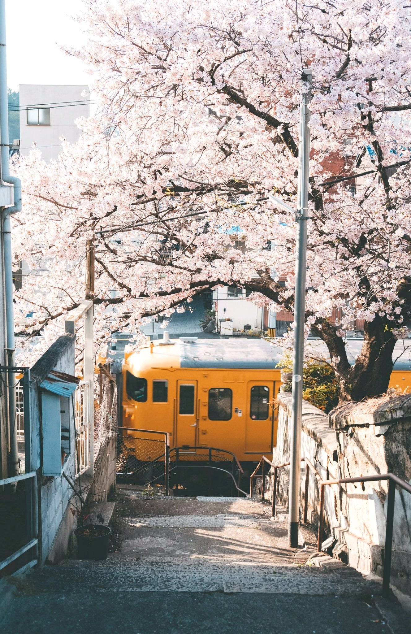 body_electric_'s profile picture. 性別：男