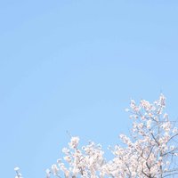 但我现在不好 (@clayton800) 's Twitter Profile