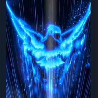 If you have found my content worth reading please support me : https://t.co/lfZkNFFnam