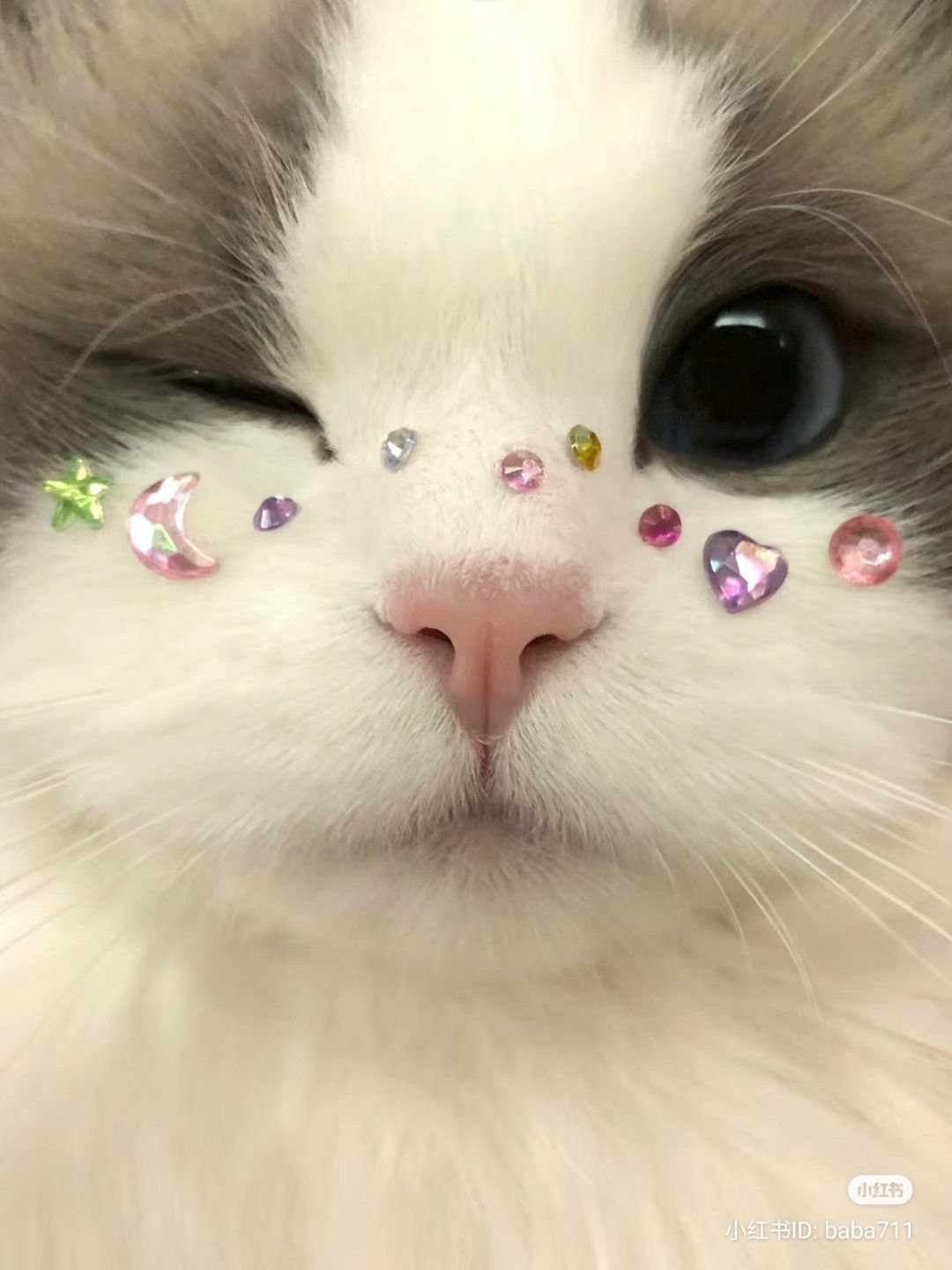 AI generated/AIで作ったイラストを垂れ流します pixivは🔞もあるので注意 無言フォロー失礼します 生成環境:Stable Diffusion サブ🔞→ https://t.co/60exTdqJZj