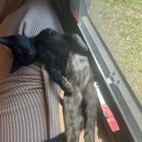 alex kent (@alex_2012yourma) 's Twitter Profile