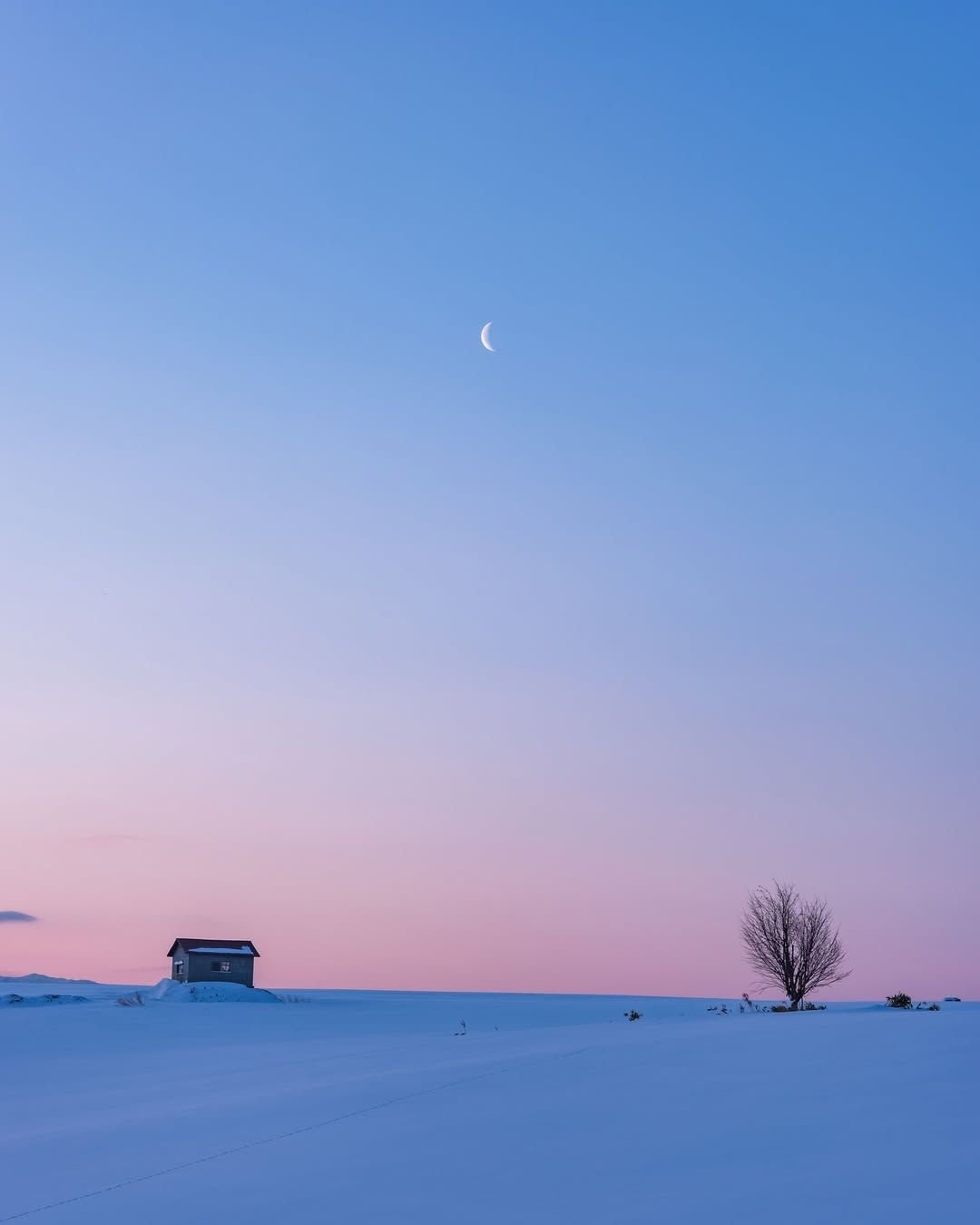 jozeanesantos's profile picture. ウマ男