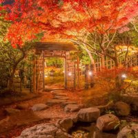 まめた (@lucagustin36) 's Twitter Profile