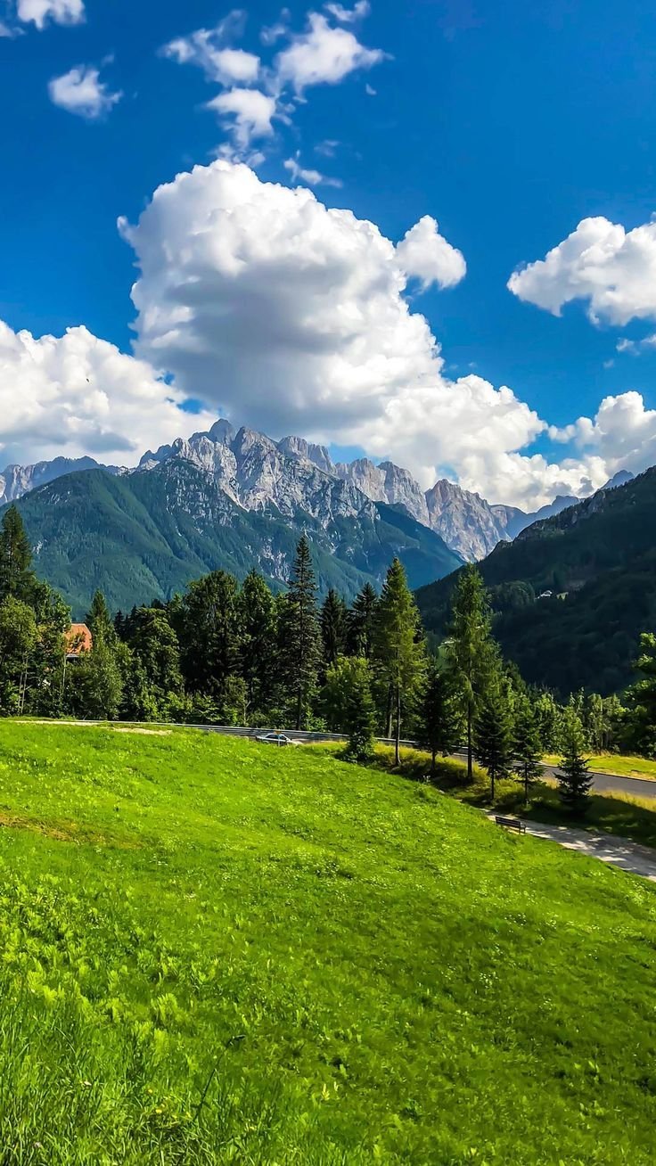 boukhmis1's profile picture. 健康優良児