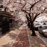 Deemadp's profile picture. 輝日東（きびと）大学生の蓮が出会った同じ大学生の「絢辻詞」さんをモデルにした写真集の中身をアップしていく「サムタイム絢辻」|時に日常・時に友だちの彼女たちも登場