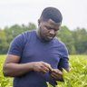 olomitutuseyi's profile picture. Research assistant_Hartwig Endowed Chair in Soybean Agronomy, Corn Agronomics lab @msstate |Fmr Research fellow @IITA_CGIAR|💚agronomy and plant breeding