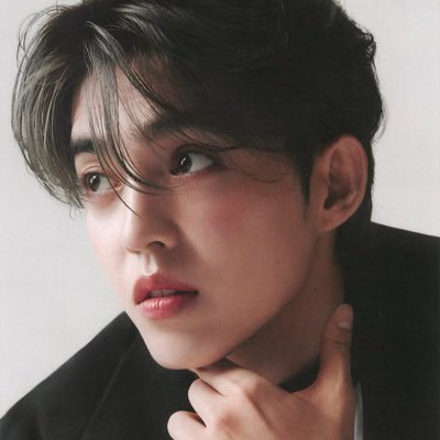 belleforcoups's profile picture. writer for svt