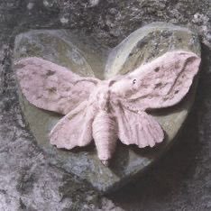 Elianam63674541's profile picture. 