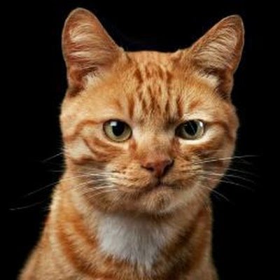 BabeskoM2991 Profile Picture