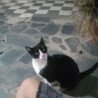 diario de mi sufrimiento (@myysuffering) 's Twitter Profile