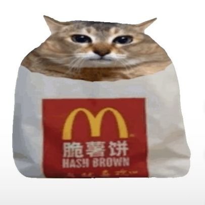 DearHashBrownOceanP Profile