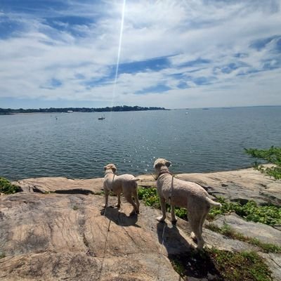 Molly03080580's profile picture. “We must not mind insulting men, if by respecting them we offend God (Galatians 1:10).”

Irish born and raised, Chemistry and Biology teacher, proud American.