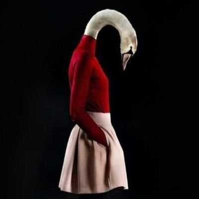 roshan_zhr's profile picture. 