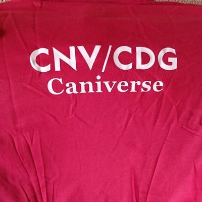 cuteismyname20's profile picture. I'm an activist and crypto guru
