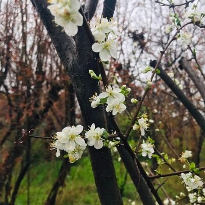 hdhyft4395's profile picture. 