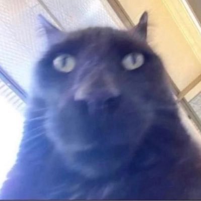 magpielegs's profile picture. big lurker