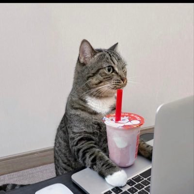 newsfornew1's profile picture. 