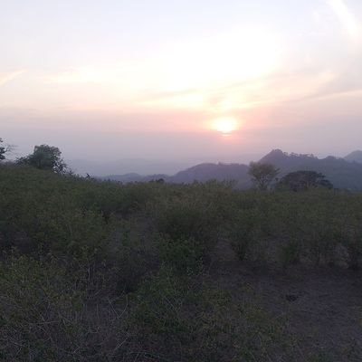 KaushikBhai99's profile picture. मैं गर्व से कहता हूं कि मैं ब्राह्मण हूं /Proud   #NatureLover #Rt not endorse. Voice for #SystemDevelopment #FreeHinduTemples #महाराज मनु