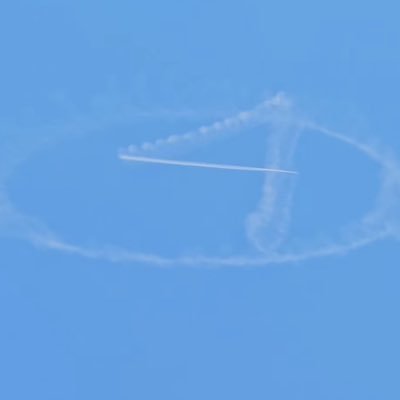 FleyFr's profile picture. 🦦☝🏻🇺🇸#stargirllegit backup account : @FrFley