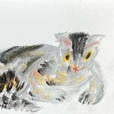 電気こうたろう【青い町と赤い町】【地獄】さんのプロフィール画像