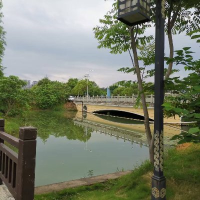 xsy20250707551's profile picture. 互关，互关必回