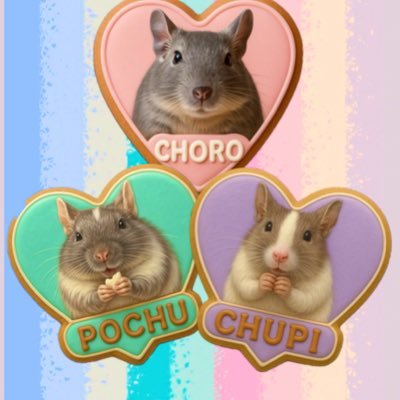 ☆*。CHORO⋈♡*｡ﾟpochu⋈♡*｡ﾟ⋈さんのプロフィール画像
