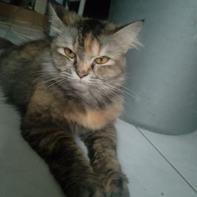 Espanatroy's profile picture. Mau FWB Tapi yang ga Ribet
M27