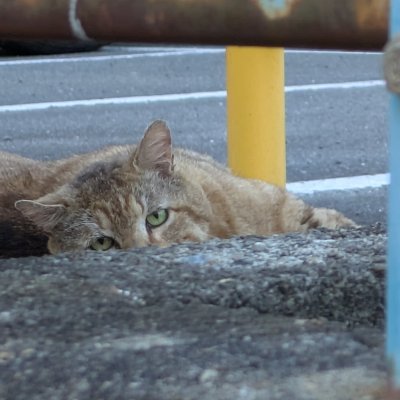 rky9zw's profile picture. 