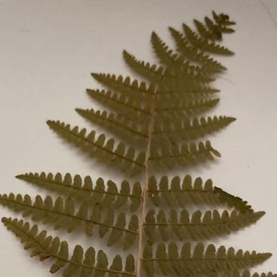 elisawater29's profile picture. 