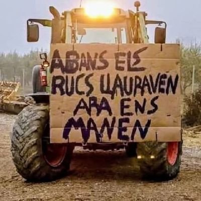 Txusot's profile picture. Picapedrer