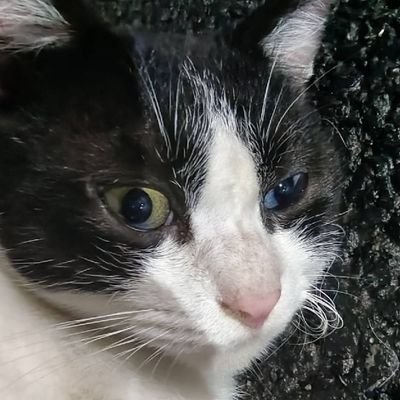 7hReeK3's profile picture. 