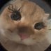 Teja ka Sona (@monadxrling) Twitter profile photo Teja ka Sona (@monadxrling) Twitter profile photo