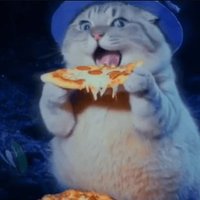 0xl3mon (@0xlem0n) 's Twitter Profile