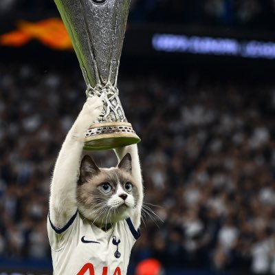 Tottenham fan. Here to ramble about my beloved Spurs because since we won the Europa league my family and friends are sick of me talking about them constantly.