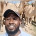 Abdinasir Mohamed Khalif Profile picture